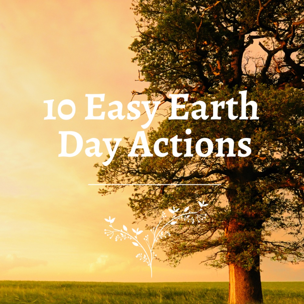 10 Easy Earth Day Actions for a Greener Planet