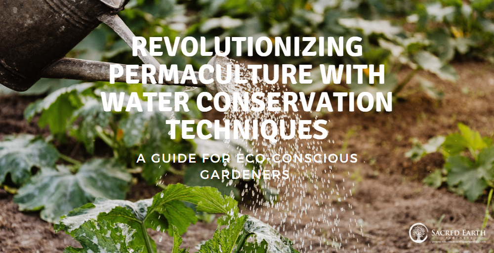 Revolutionizing Permaculture with Water Conservation Techniques: A Guide for Eco-Conscious Gardeners