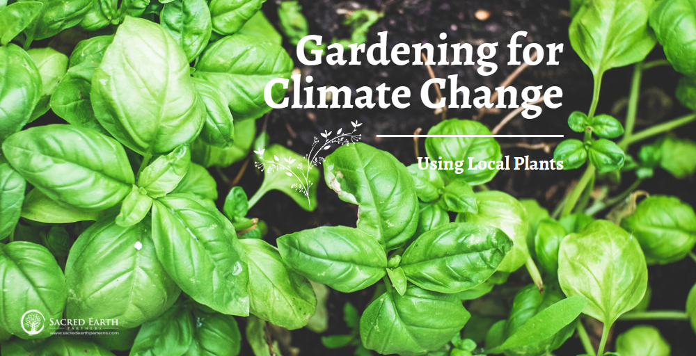Gardening for Climate Change: Using Local Plants to Adapt to Changing Conditions