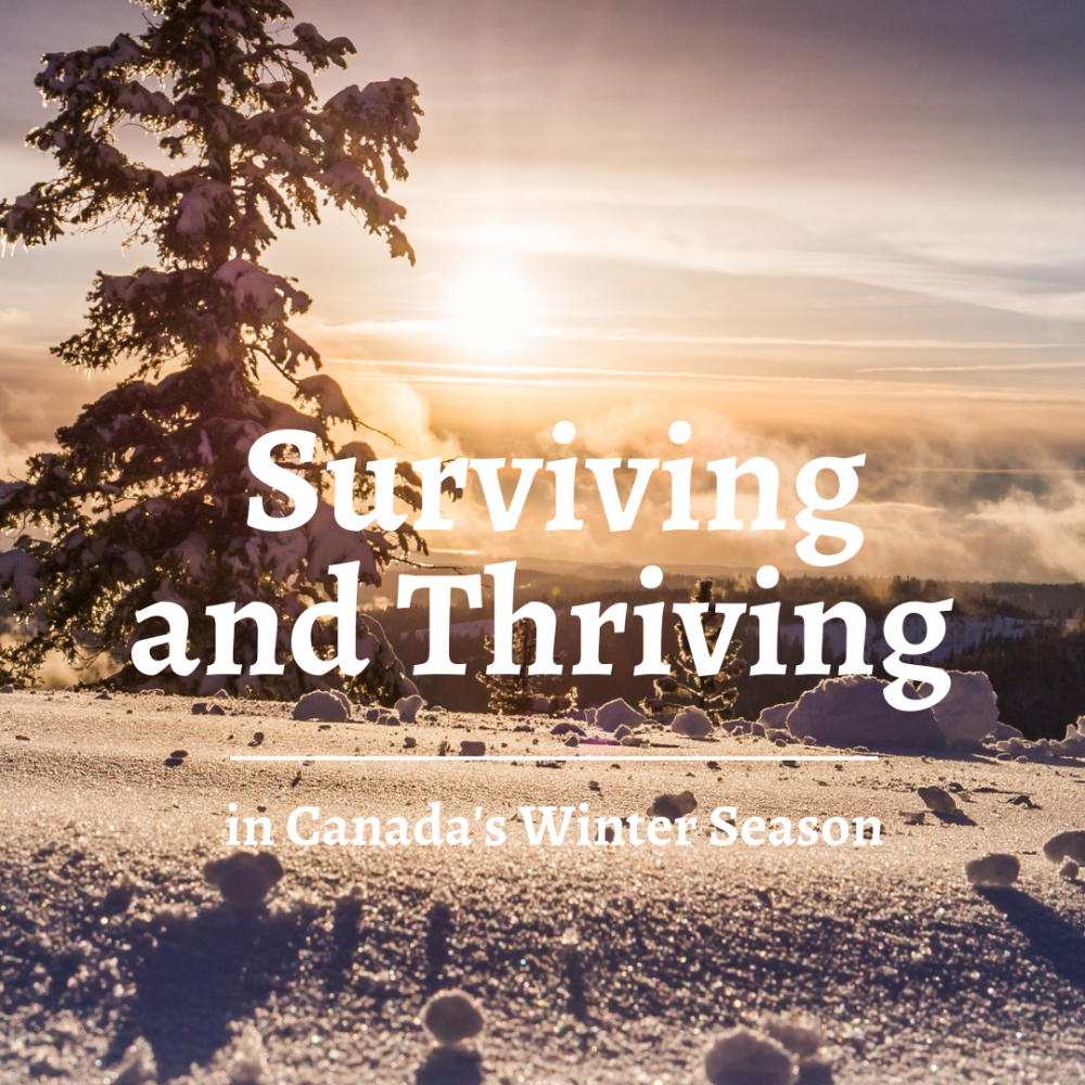 The Ultimate Guide to Surviving and Thriving in Canada’s Winter Season