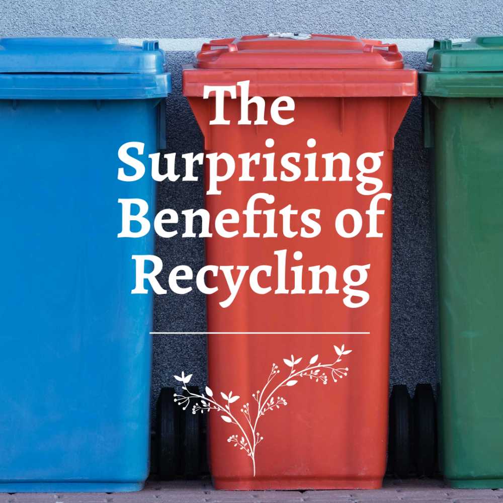 The Surprising Benefits of Recycling: Why It’s Good for the Environment and Your Wallet